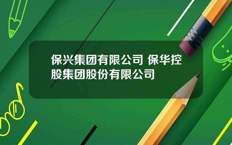 保兴集团有限公司 保华控股集团股份有限公司